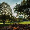 Fall on the Oval