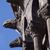 Gargoyles, representing extinct animals, circle the bell tower of Orton Hall.