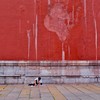 Outside the Walls
Chris Baggott, Honorable Mention, Undergraduate/Graduate Students
The Forbidden City is a palace complex in Beijing that housed the ruling monarchs of China for almost 500 years. It is now a museum and is open to the public. This image is a simple scene of a man sitting outside one of the walls of the complex. It evokes inequality through a juxtaposition of the royalty and the common person. While China no longer has imperial rule, there are lasting reminders of the inequality that persisted throughout the nation's history. Even today, rapid commercialization has brought the country to an economic crossroads where many citizens are overworked and underserved. 
Names of Individuals and/or Location in photo
Location: Forbidden City, Beijing, China
