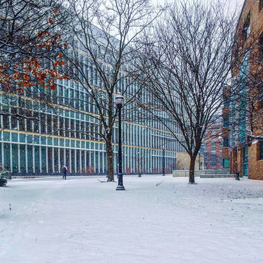 Winter is finally here at Ohio State! - Joey Towbin, Arts and Sciences