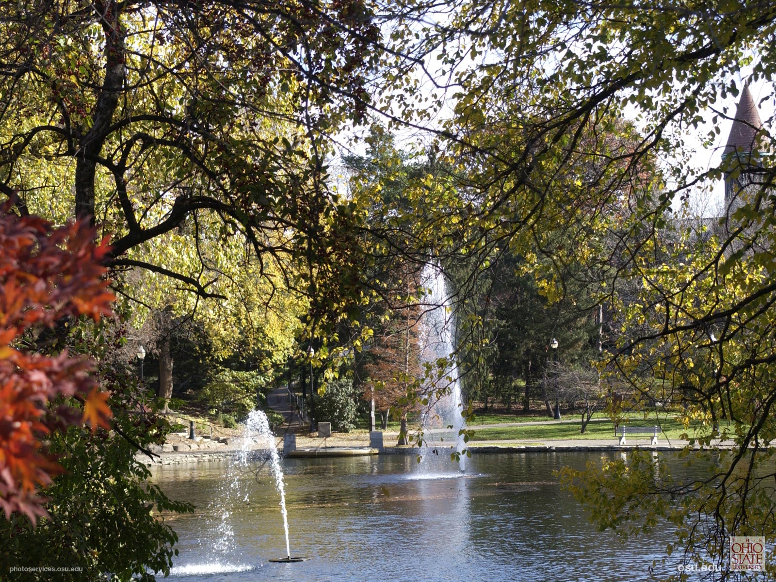 Images The Ohio State University