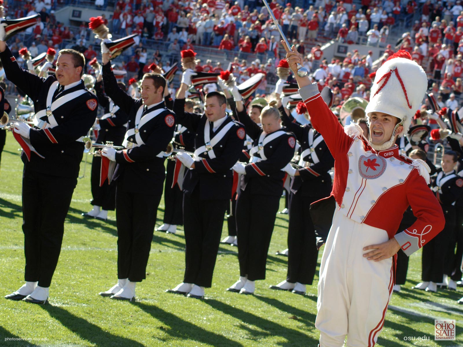 Ohio State University Marching Band Buckeye / Ohio State Buckeye