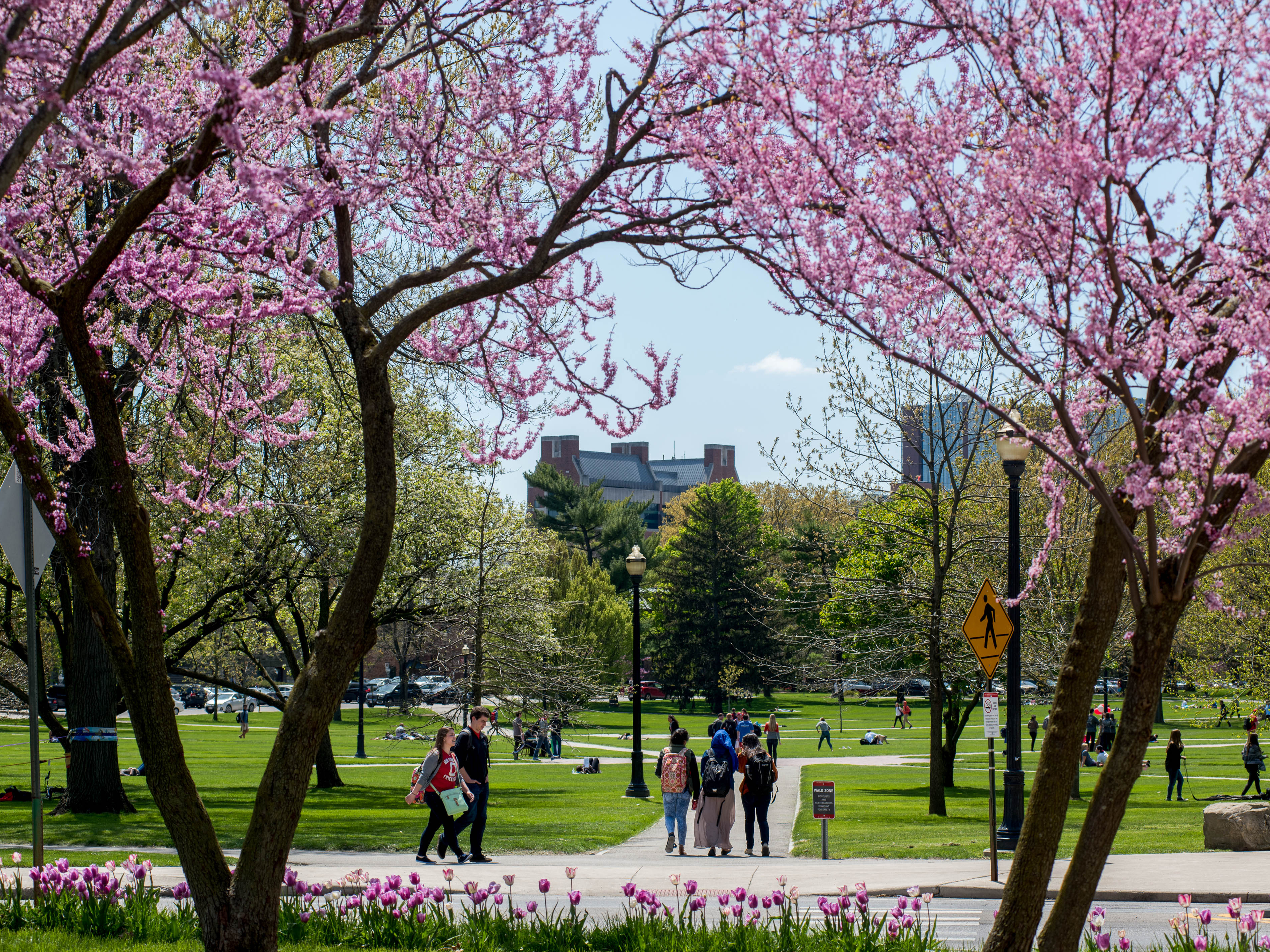 Images The Ohio State University