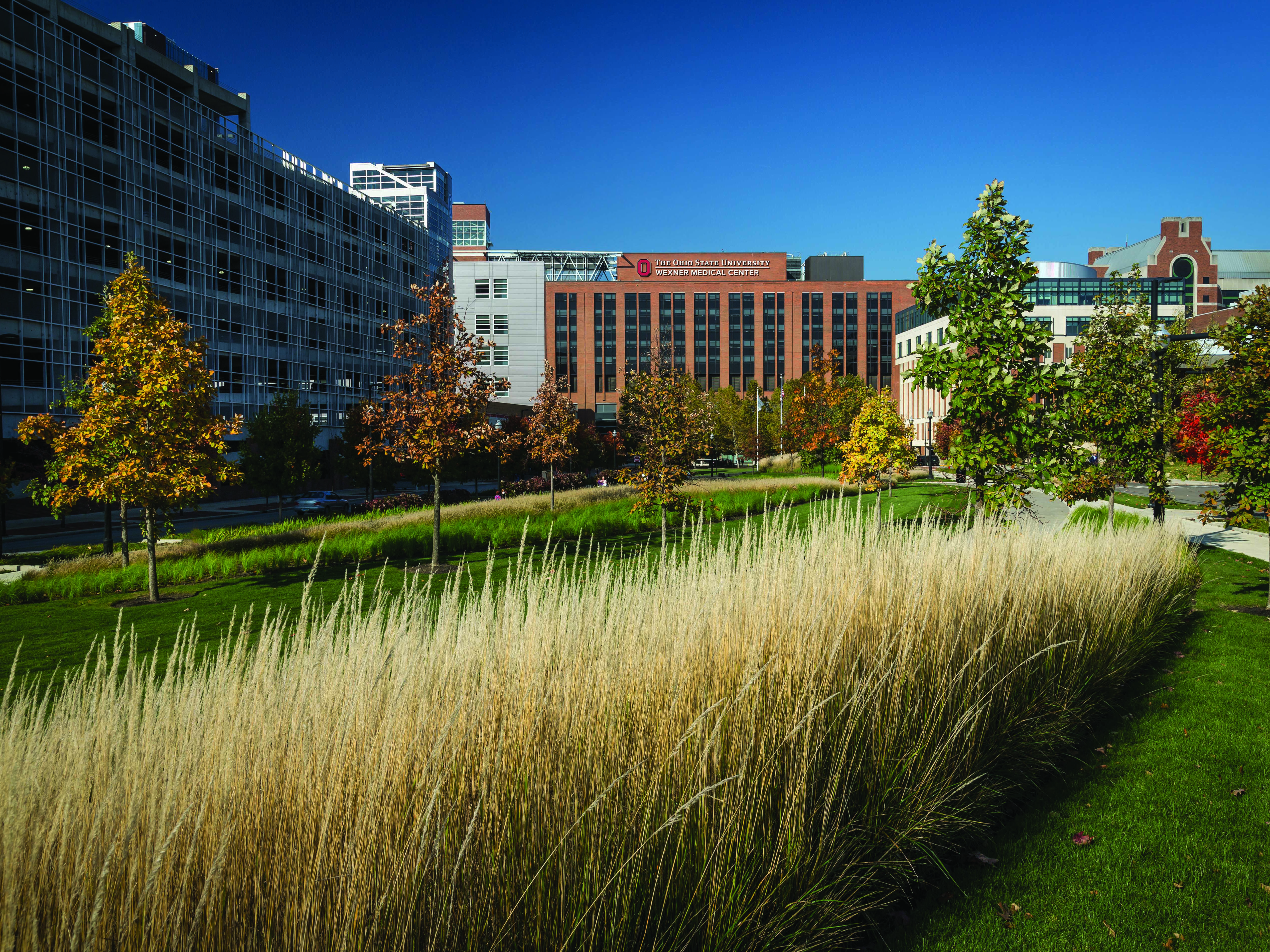 Pictures of Ohio State University