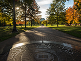 oval with seal