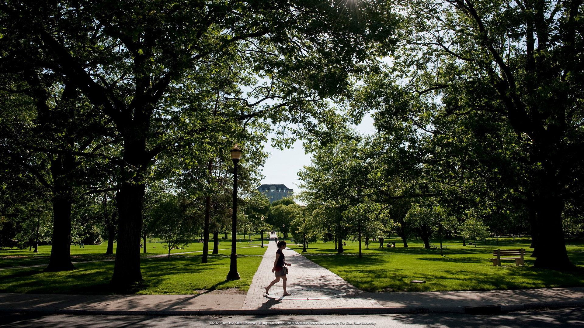 Ohio State University Trademarks 'The' - The New York Times