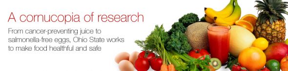 A cornucopia of research