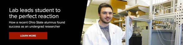 Green energy research career