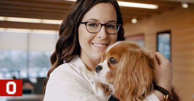 Ohio State Veterinary Medicine Helps Animals