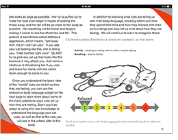 Cat Mastery