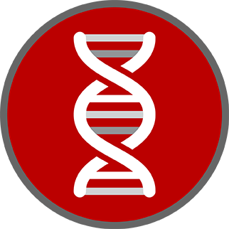 A genetic-based strategy