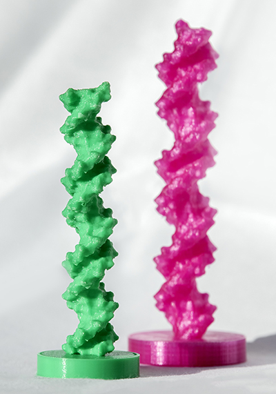 A 3D-printed DNA model