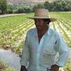 farmer in Mexico