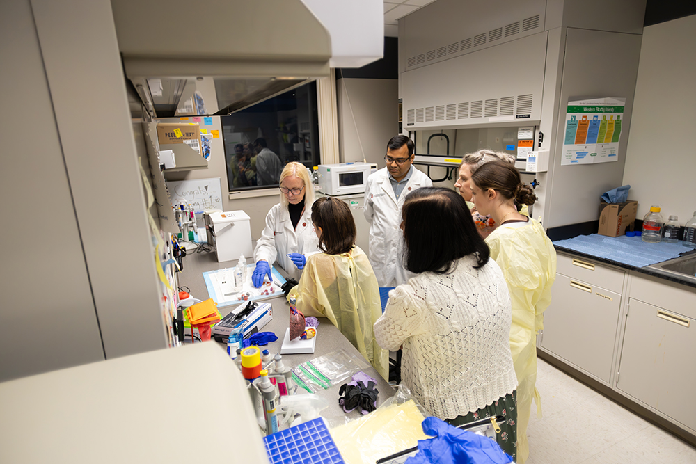 Woman in a white lab coat with blue gloves pouring liquid in lab room with a group of students