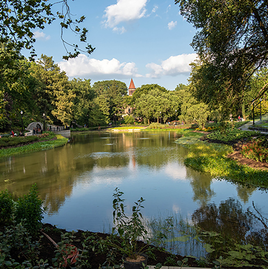 view of mirror lake surrounded by trees