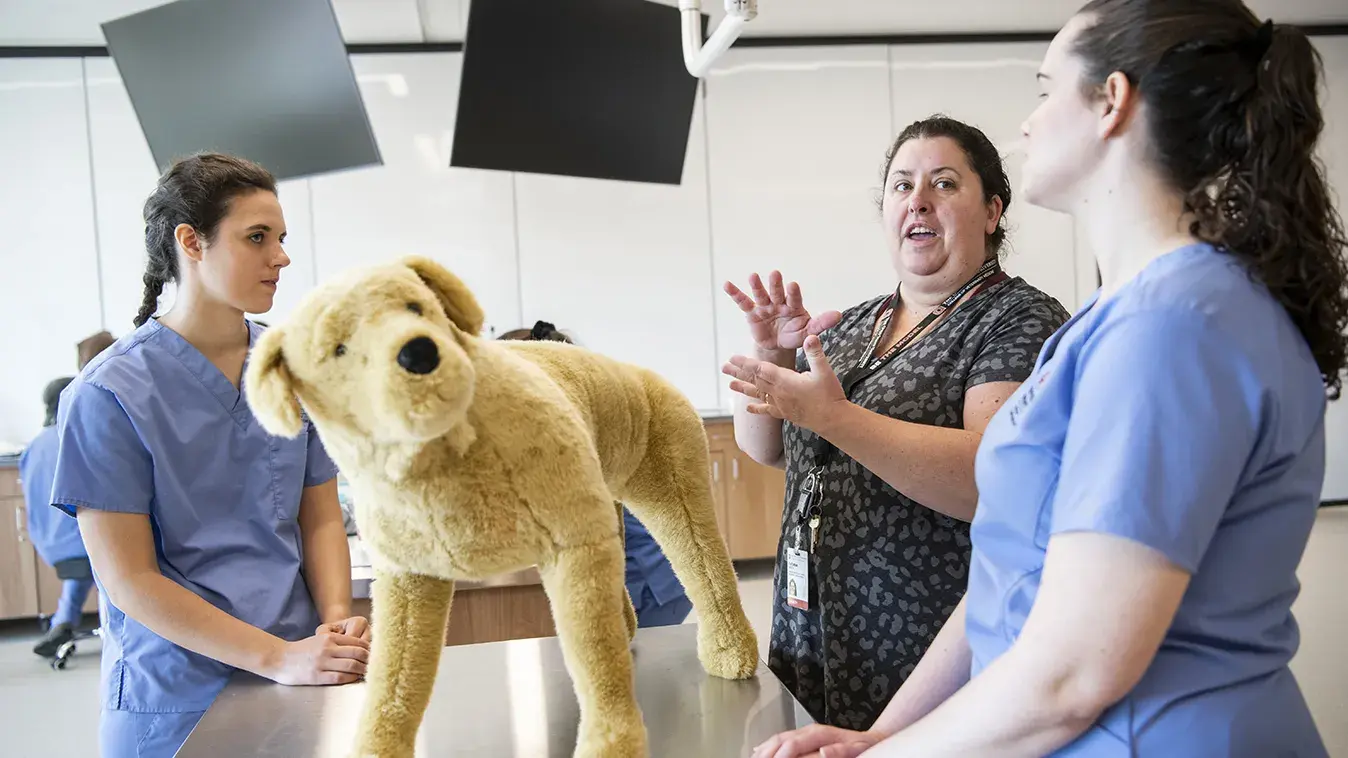 students talk with professor while examining a doll of a puppy in class