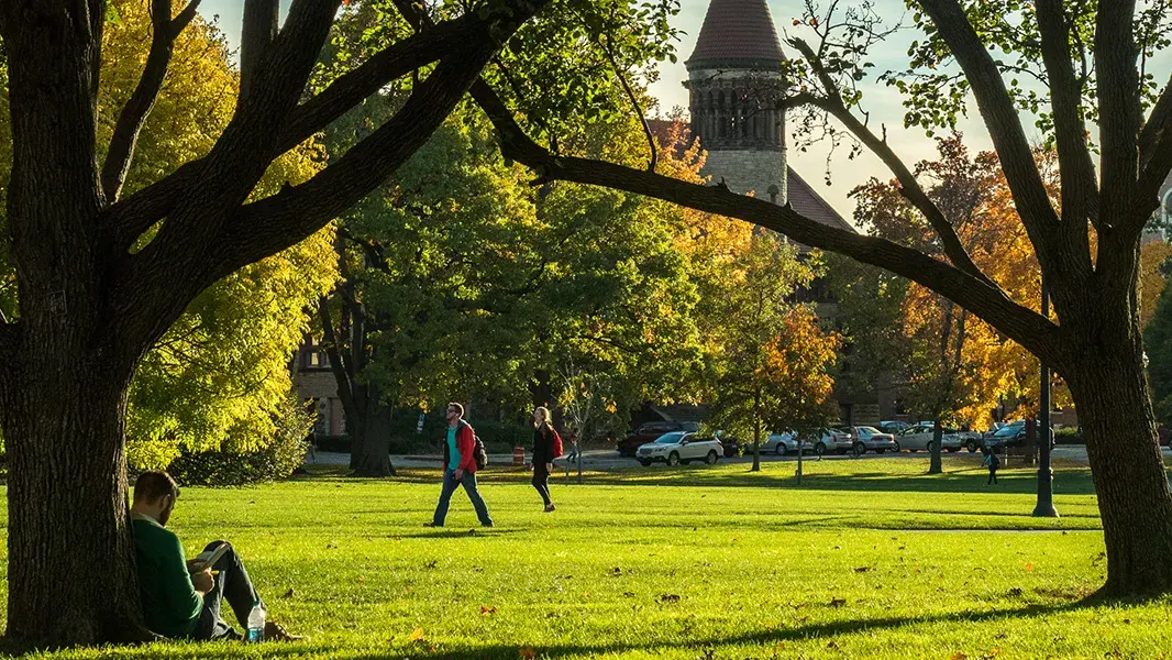 view of ohio state's campus in the fall with yellow leaves and bright green grass