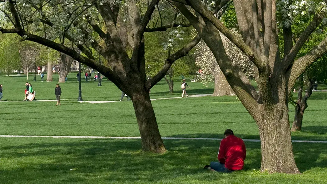 ohio state student in red jacket sitting under a tree on the oval