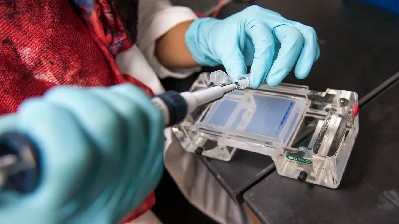 student wearing blue latex gloves works with sensitive medical testing equipment