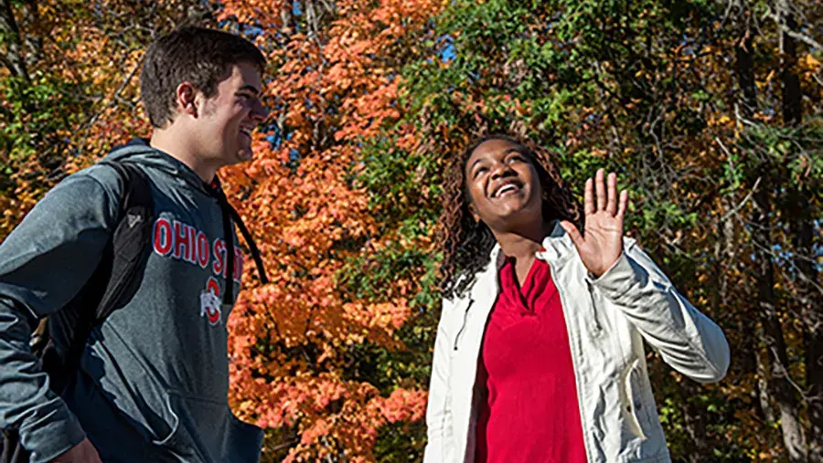 Students looking at fall foliage