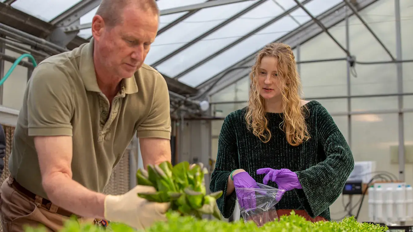 Ohio state students gardening in a greenhouse