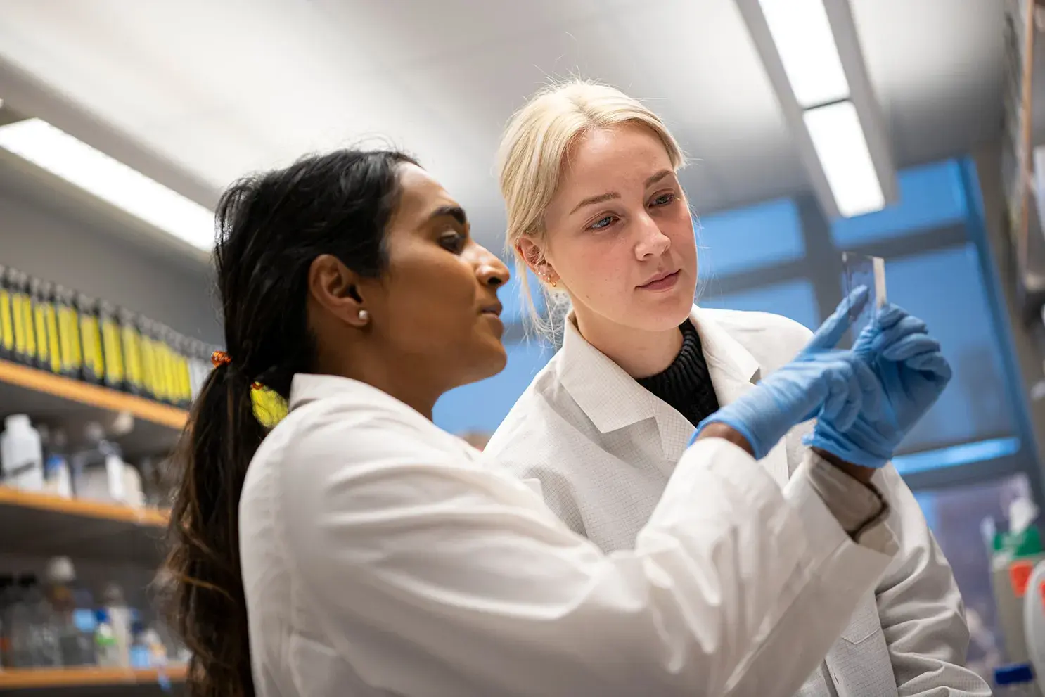 Two women in a lab looking at test tube