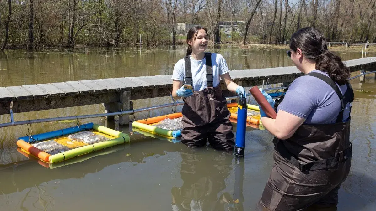 Two students conduct research standing in a river