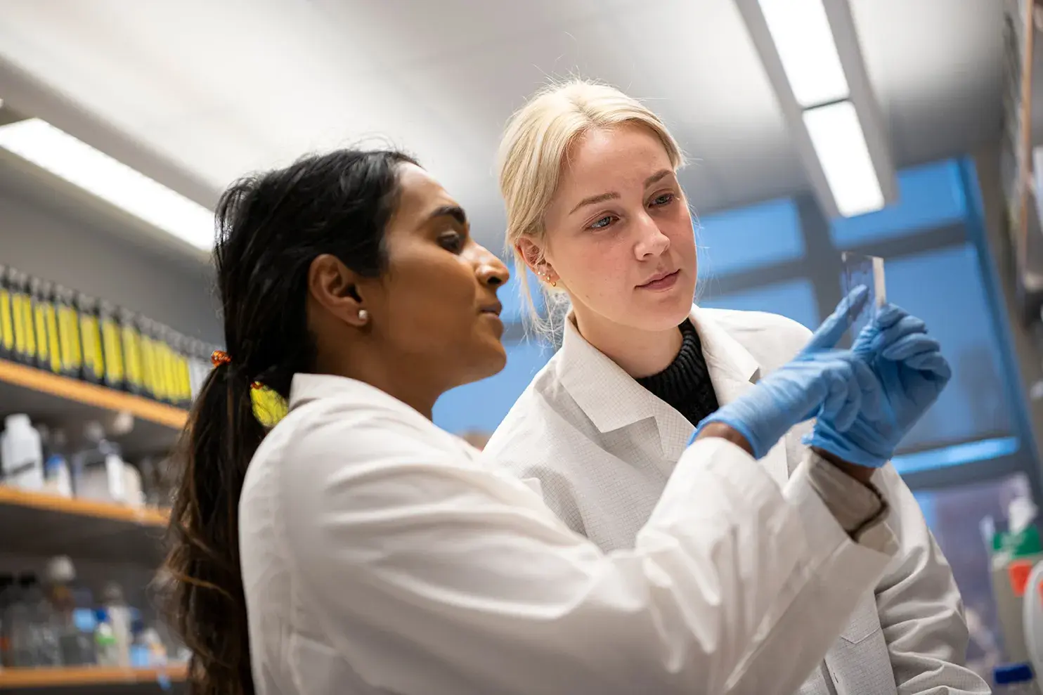 two women in lab coats looking at samples