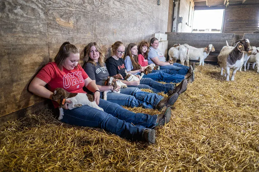 Students sit in a row in a bed of straw with goats