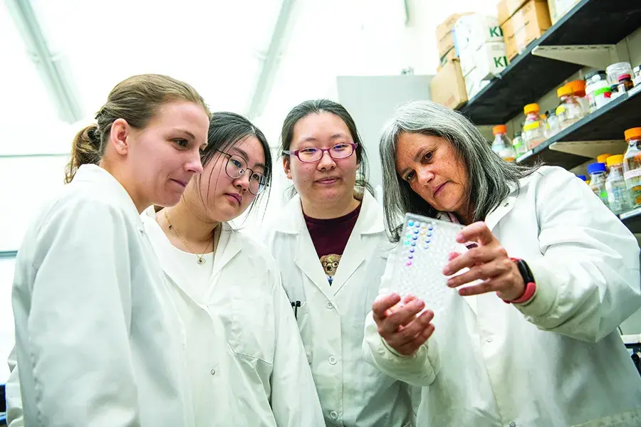 Four people wearing white lab coats look at a lab item