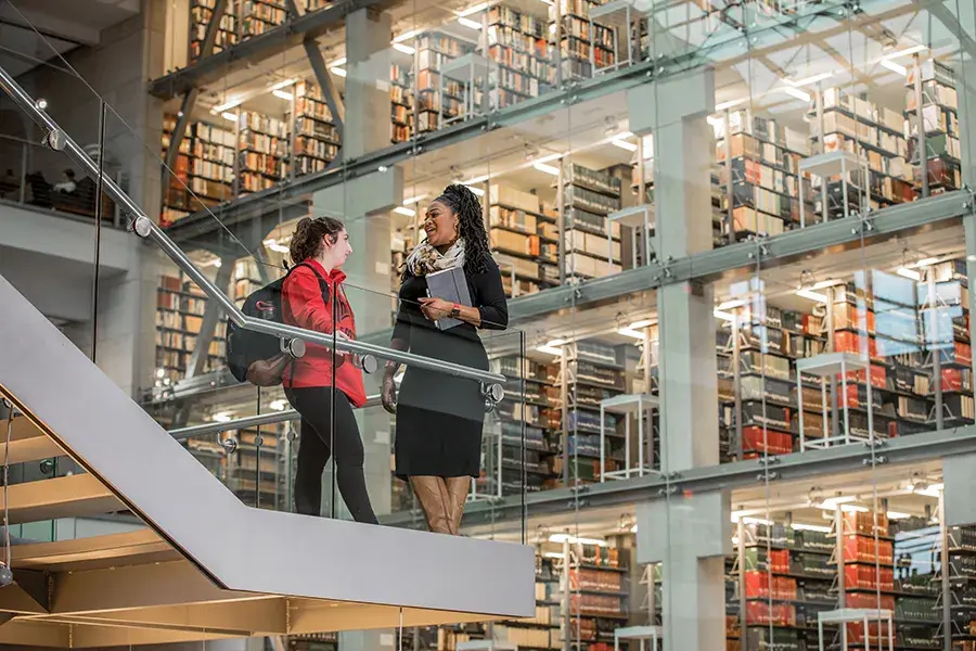 Two people talk on the stairs with shelves of library books behind them