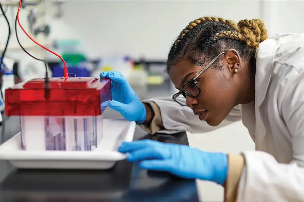 A woman looks at an experiment in a research lab