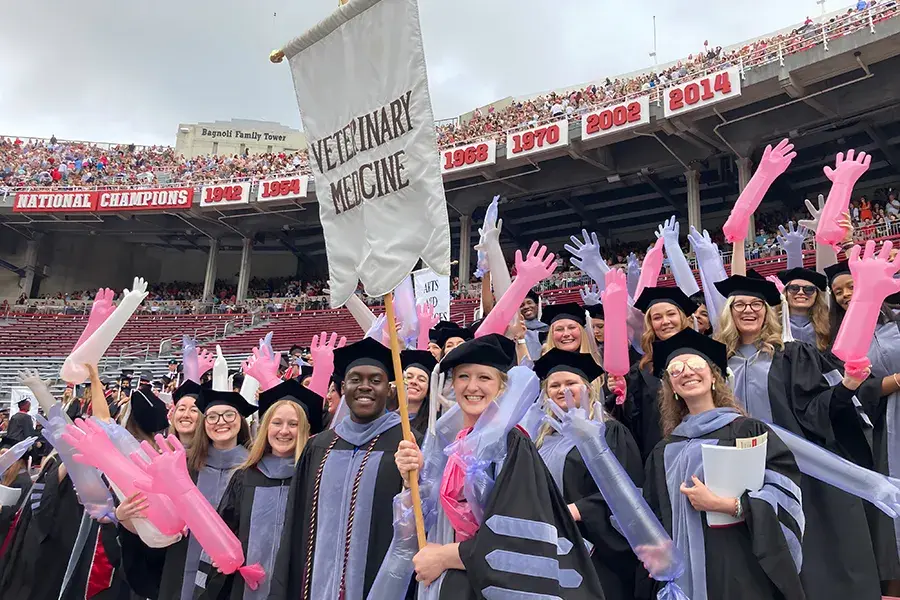 Veterinary Medicine graduates smile and cheer