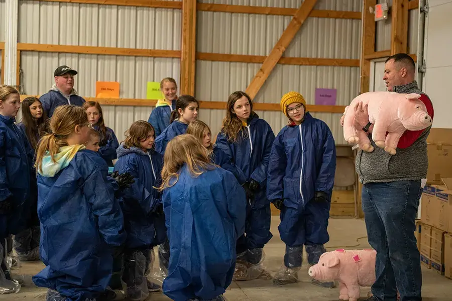 A group of veterinary medicine students listen to an instructor talk about swine