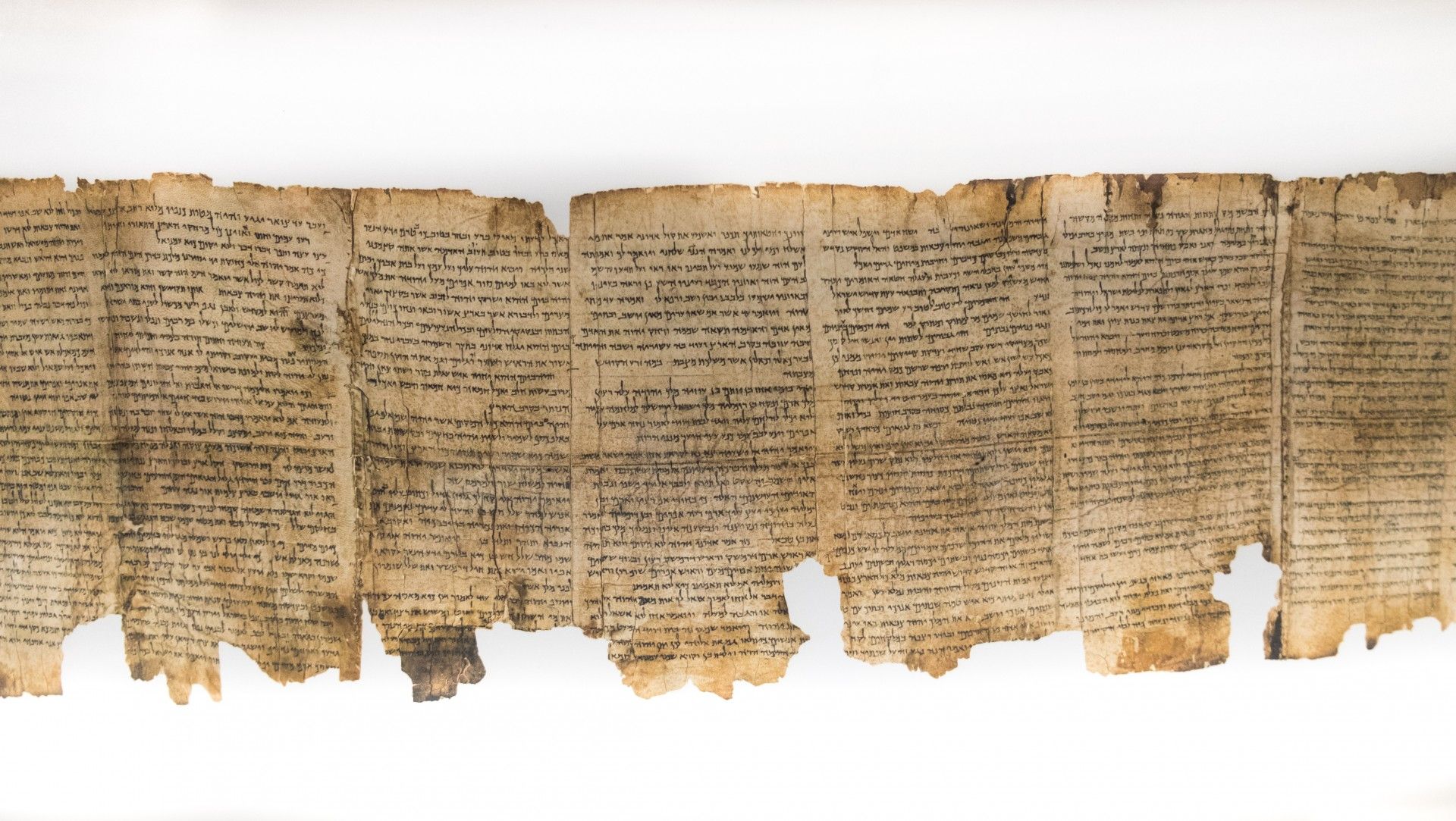 The Dead Sea Scrolls.