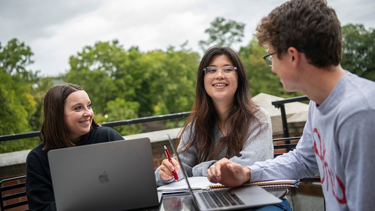 Students studying outside