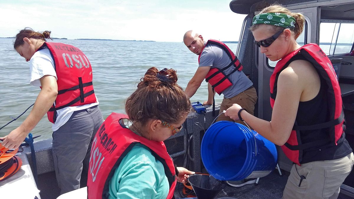 Researchers on a boat gather algal bloom samples