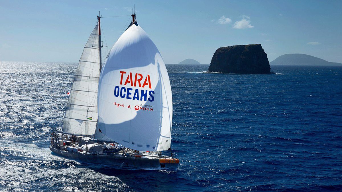 A research sailboat traverses the ocean.