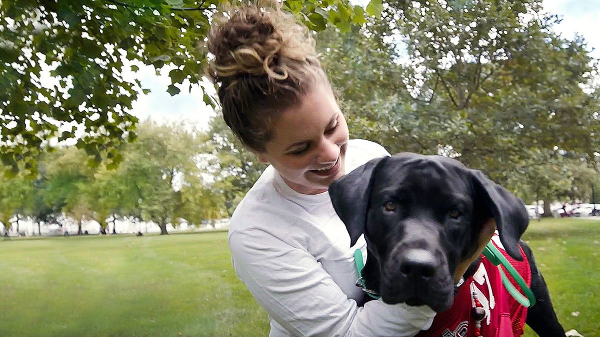 A person and a dog