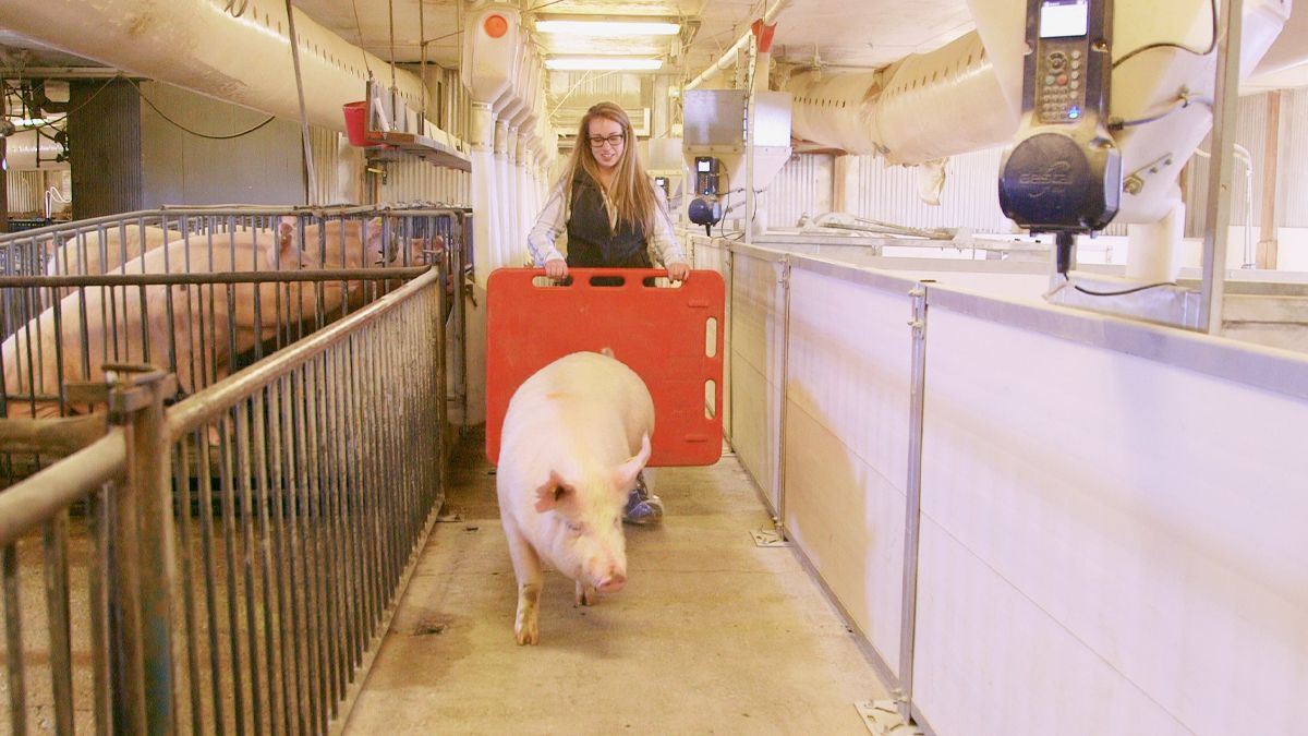 Nicole Lorig with a pig