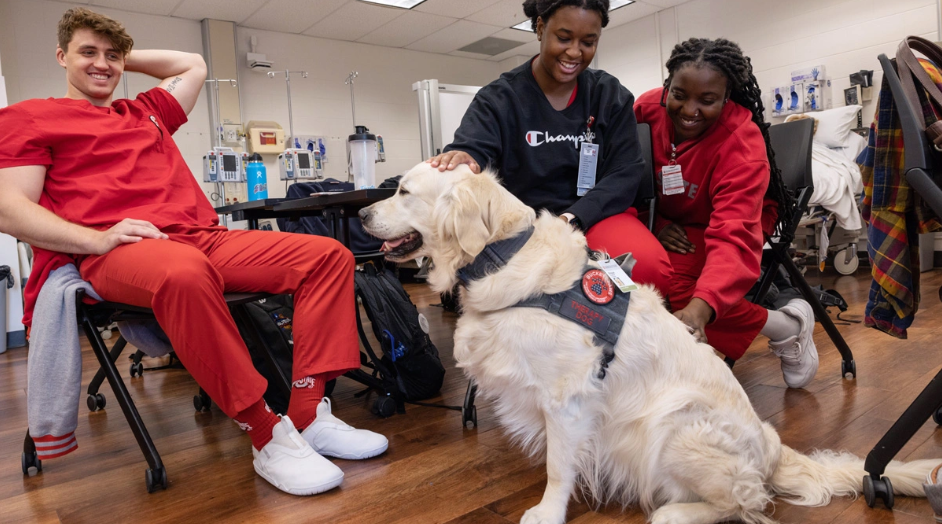 A dog and three people