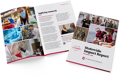 Statewide impact report