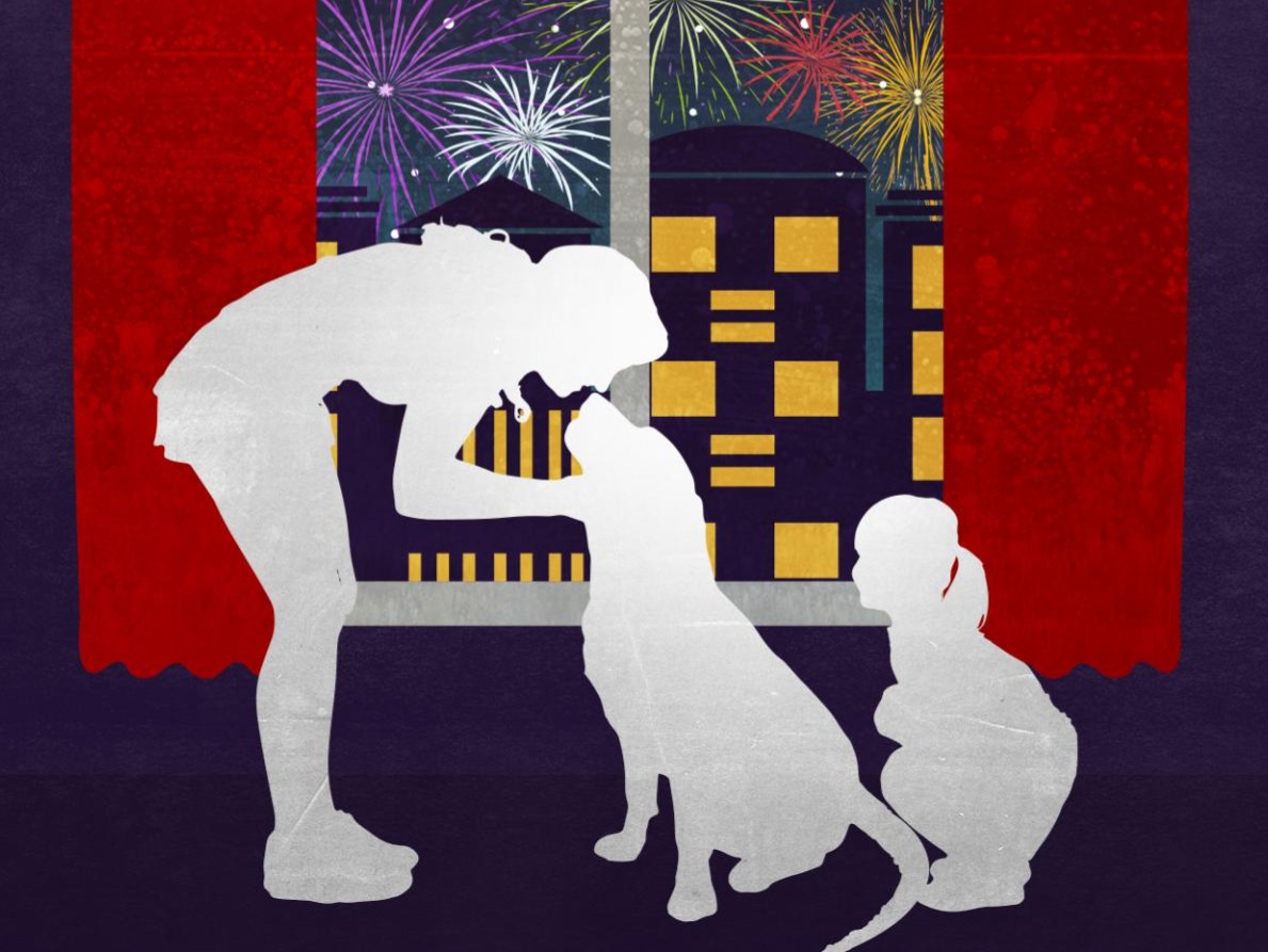 Dogs and Fireworks Ohio State Impact