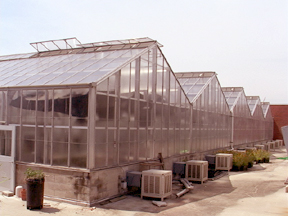 Biological Sciences Greenhouses external view