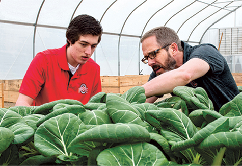 picture of two men looking at plants in a microfarm