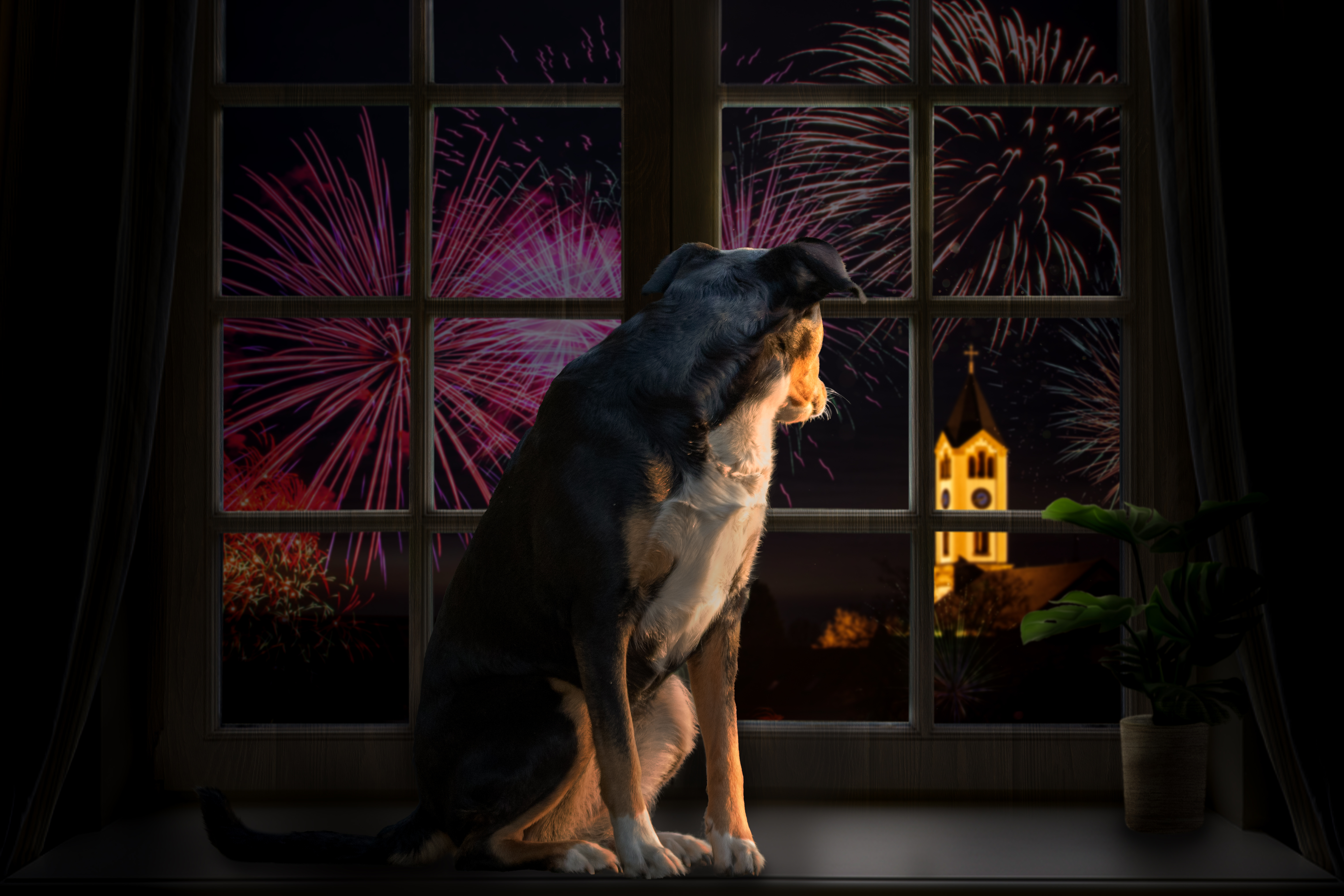 A dog is sitting on the window ledge while looking at the window at fireworks